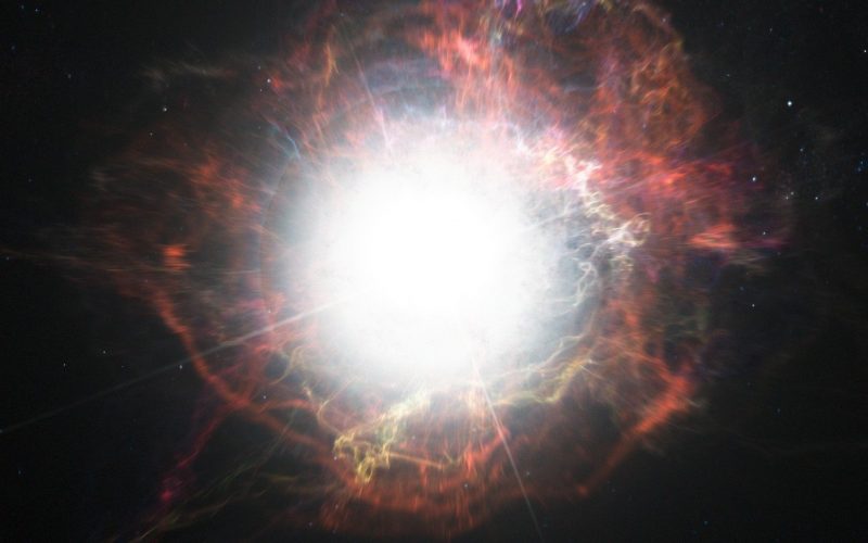 stella-1.jpg
