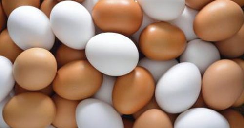 Crollo della produzione di uova: a rischio i panettoni e dolci di Natale