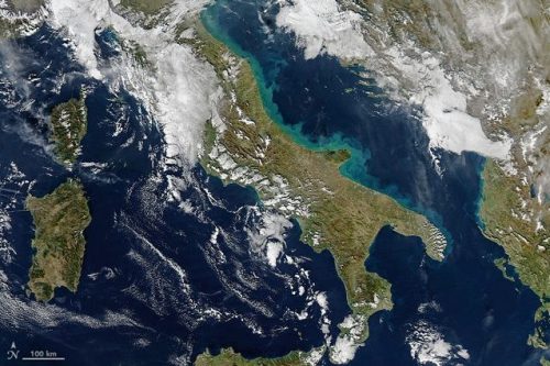 Adriatico: colossale fioritura di alghe lungo le coste italiane?