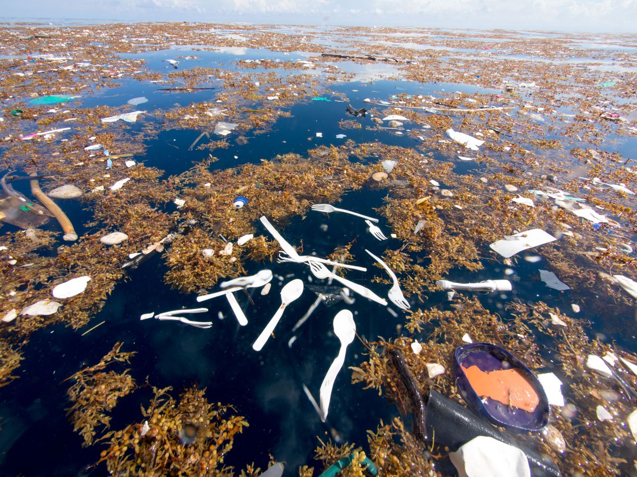 I Caraibi non sono più un paradiso: rilevata quantità record di plastica