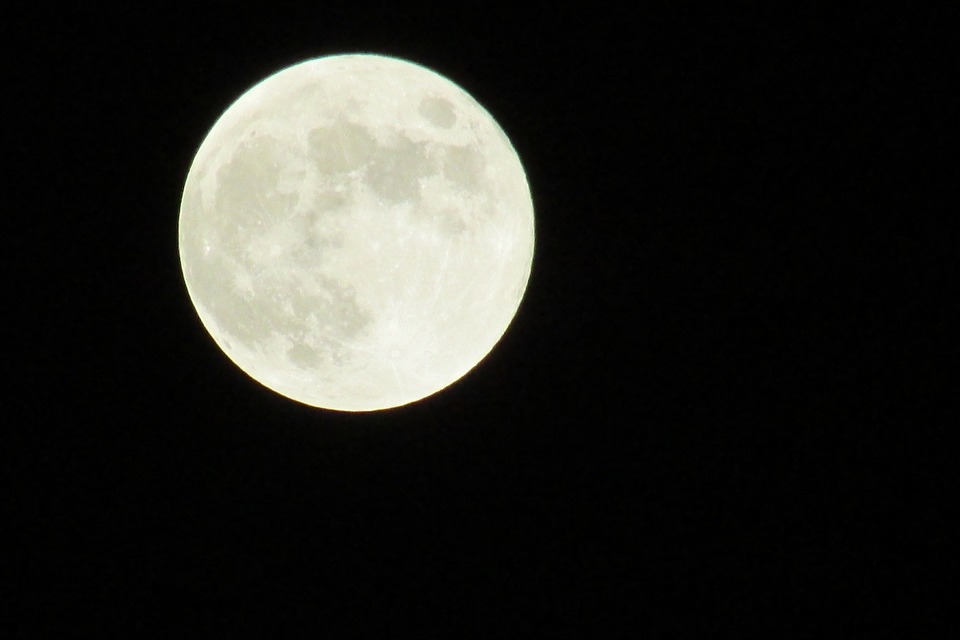 luna-pien-1.jpg