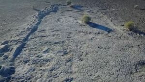 sentiero di mammut