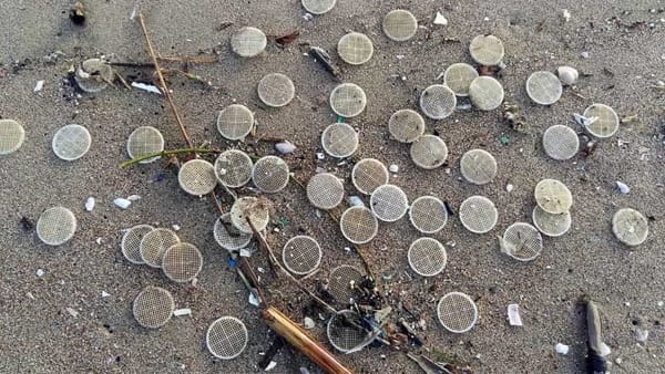 dischetti spiaggia