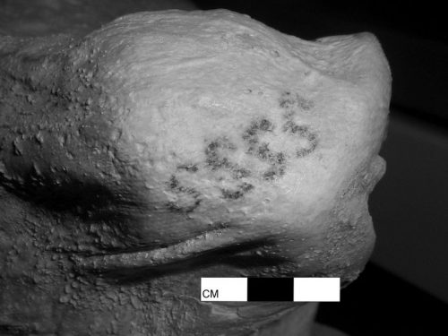 I tatuaggi esistono da 5000 anni, la scoperta su due mummie