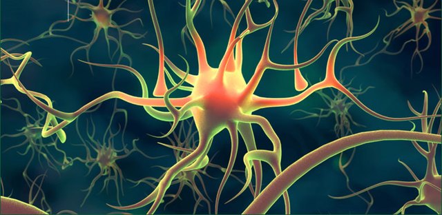 Neuroni, scoperto nuovo tipo di cellule cerebrali umane