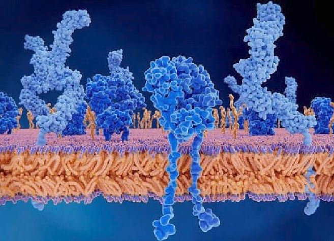 Sclerosi multipla, passi avanti nella ricerca delle cause