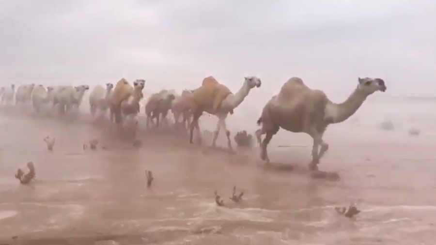 arabia-pioggia-1.png