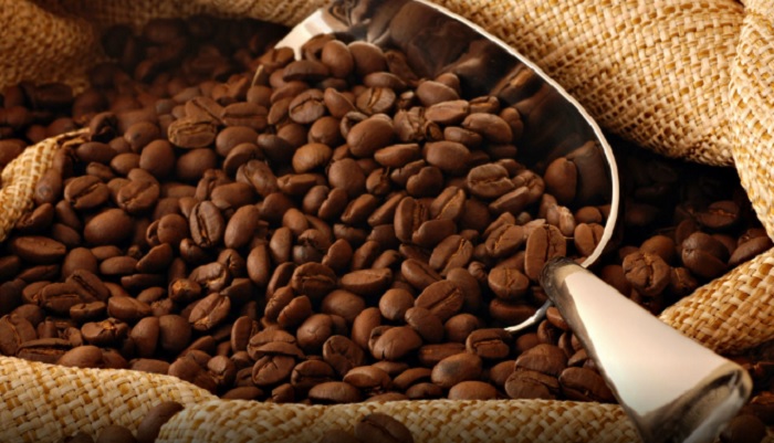 Caffè a rischio estinzione a causa di cambiamenti climatici e deforestazione