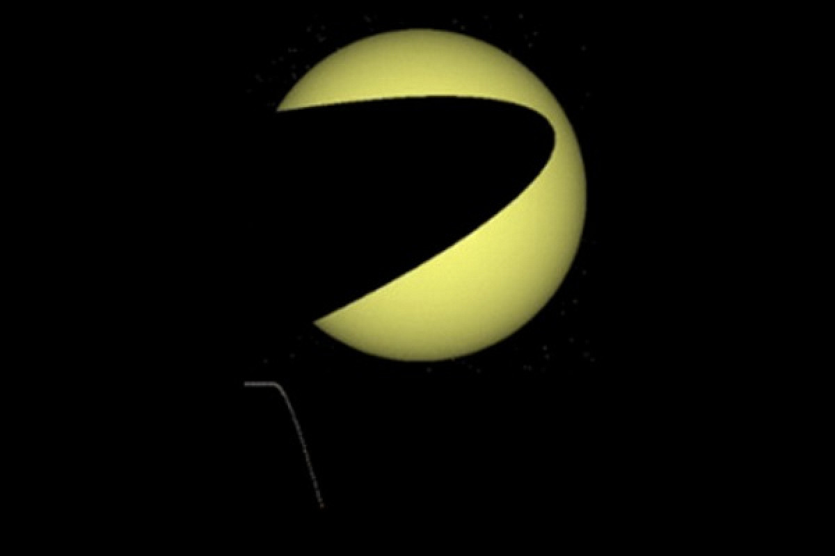 stella-1.jpg