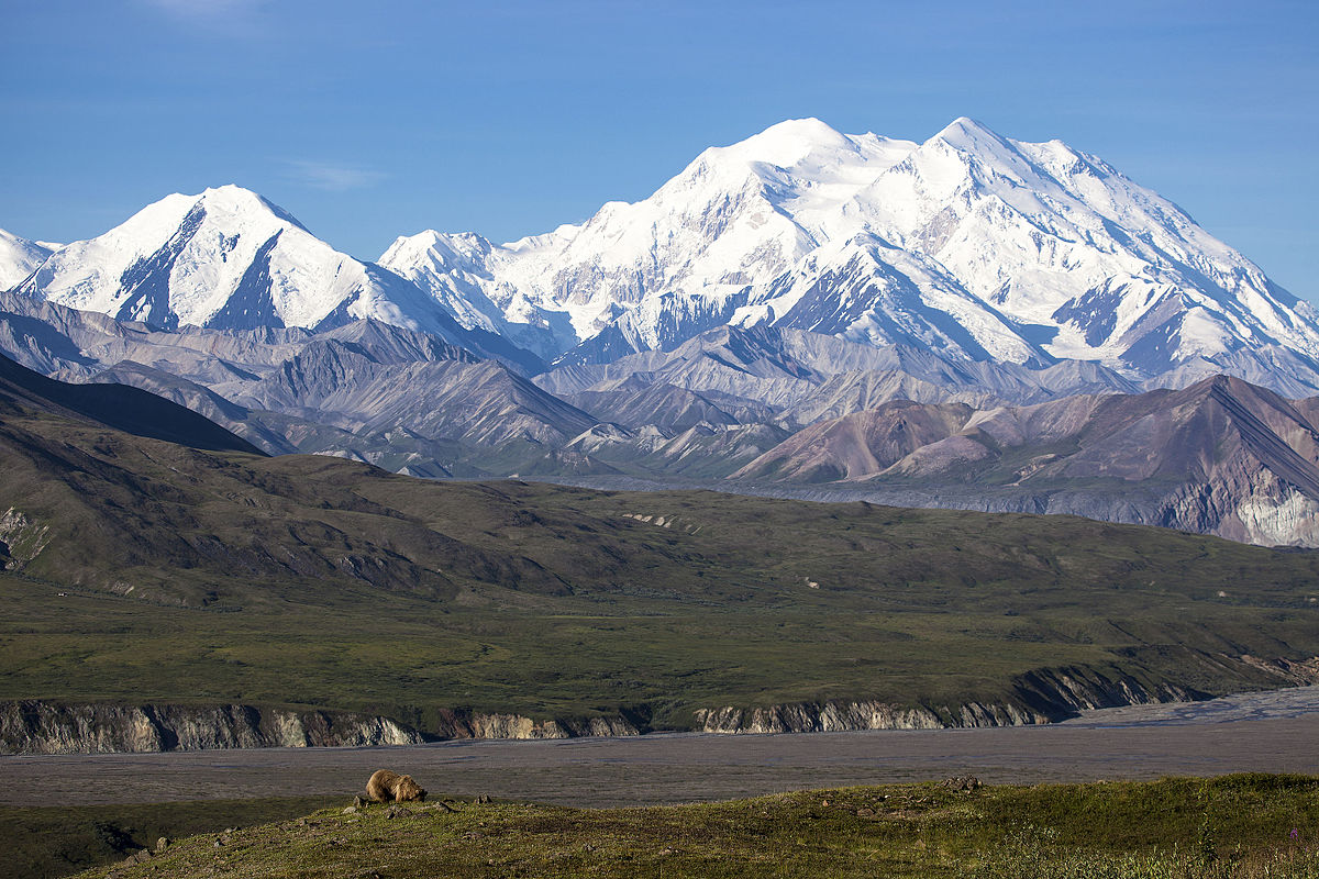 Scioglimento dei ghiacci: 66 tonnellate di escrementi potrebbero invadere l’Alaska