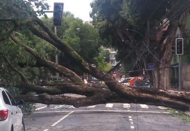Tempesta impressionante si abbatte su Rio de Janeiro, sradicati 63 alberi
