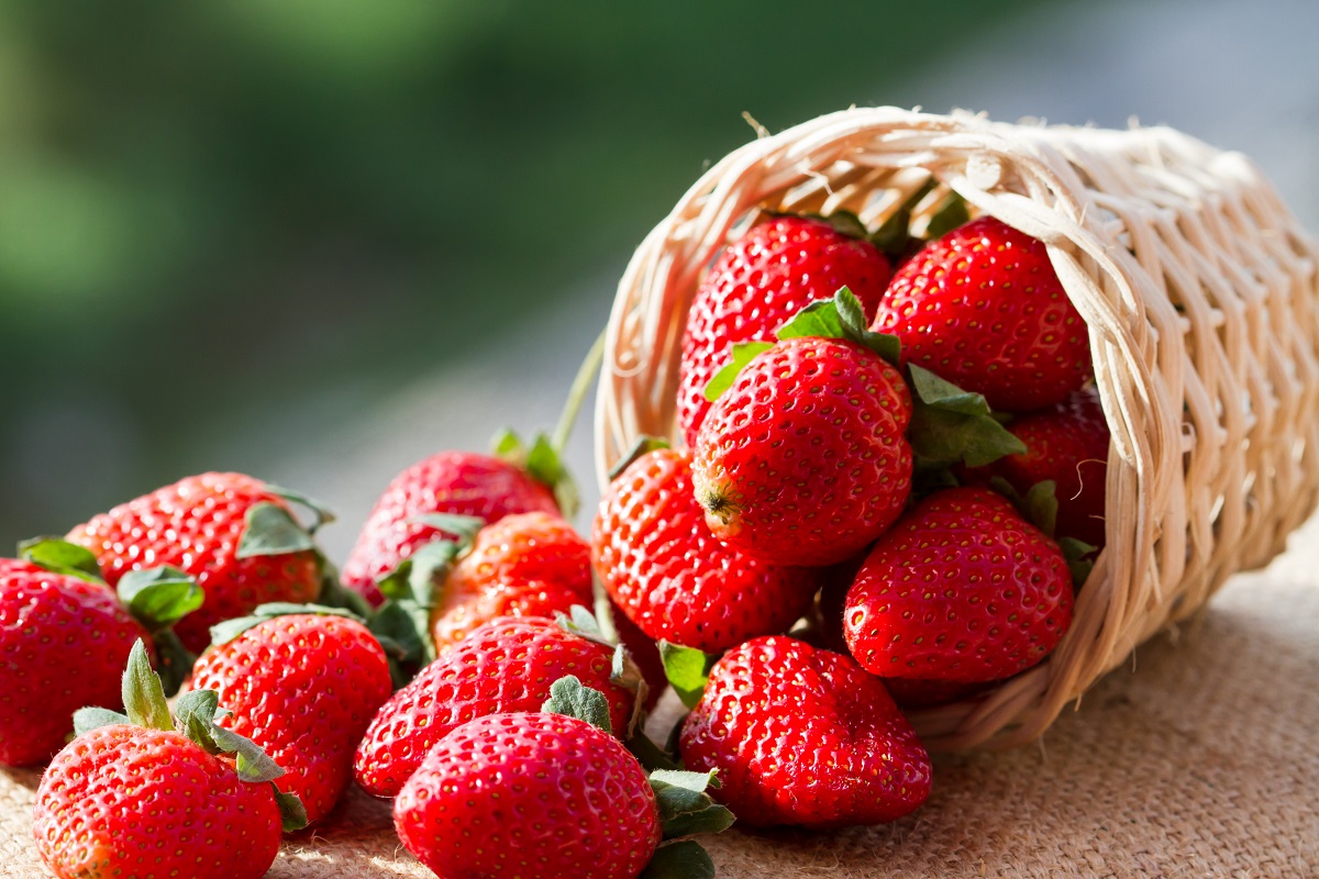 fragole-1.jpg