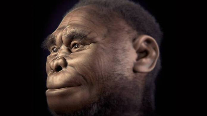 nuova-specie-homo-2.jpg