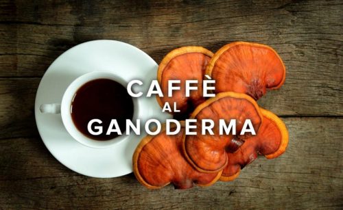 Organo Gold e il caffè al ganoderma lucidum
