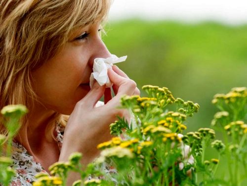 Allergie stagionali: sintomi, cause e prevenzione