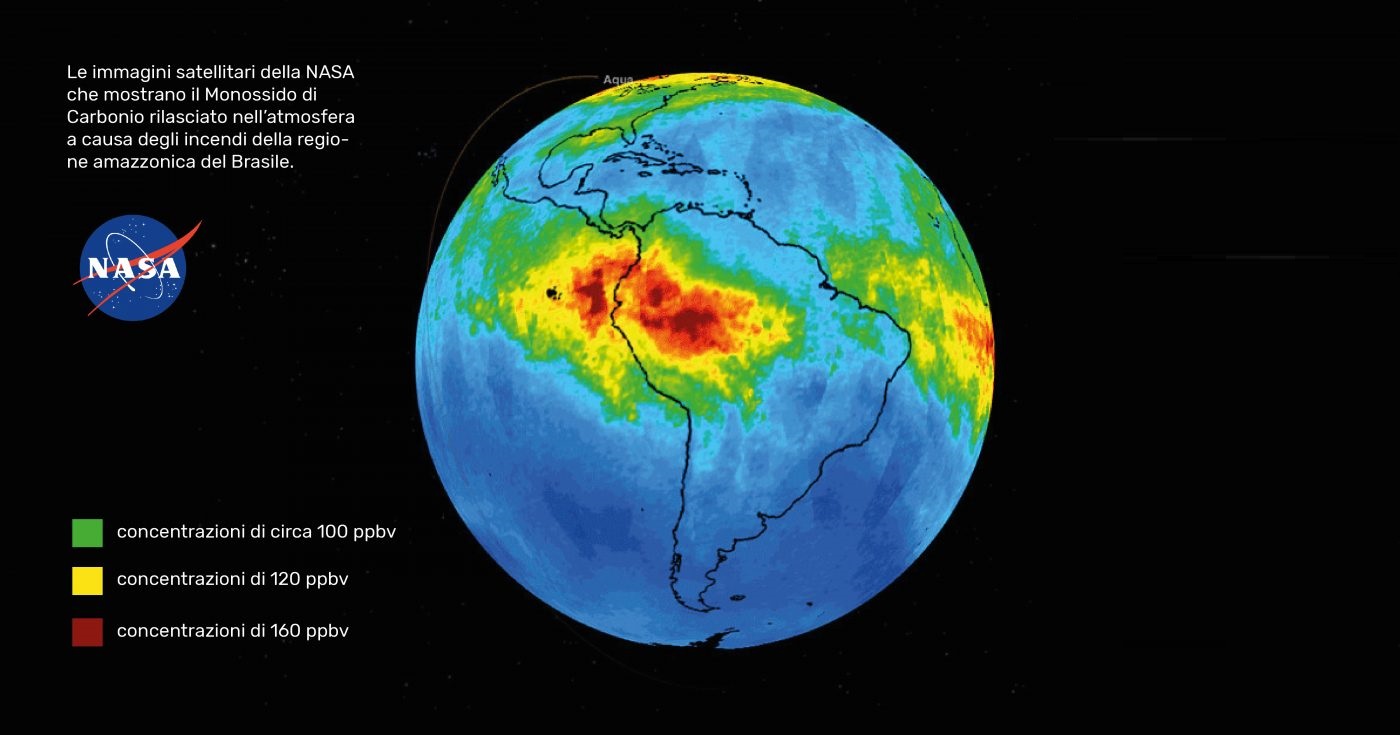 amazzonia-2-1.jpg