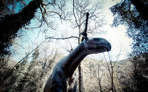 Gigantesco dinosauro a becco d’anatra scoperto in Giappone