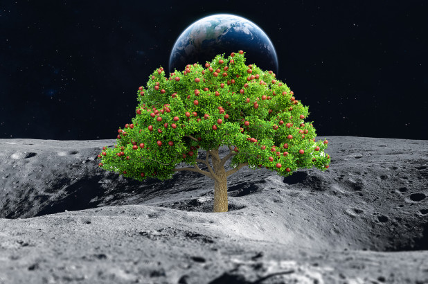 agricoltura_luna_marte-1-1.jpg