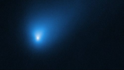 Spazio: la cometa interstellare 2I/Borisov sta rilasciando acqua
