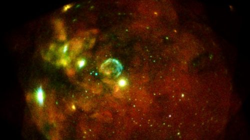 Immagini inedite della Nube di Magellano grazie al  telescopio eROSITA