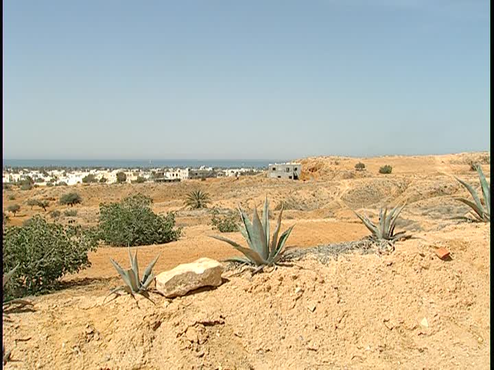 deserto_mediterraneo-1.jpg