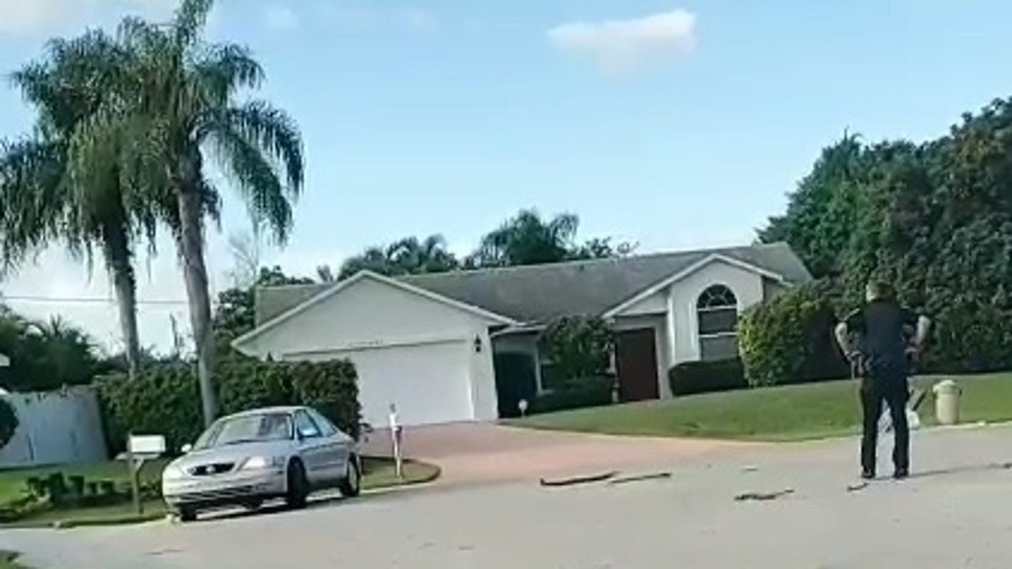 Florida: cane al volante, auto in retromarcia per un’ora. Il video