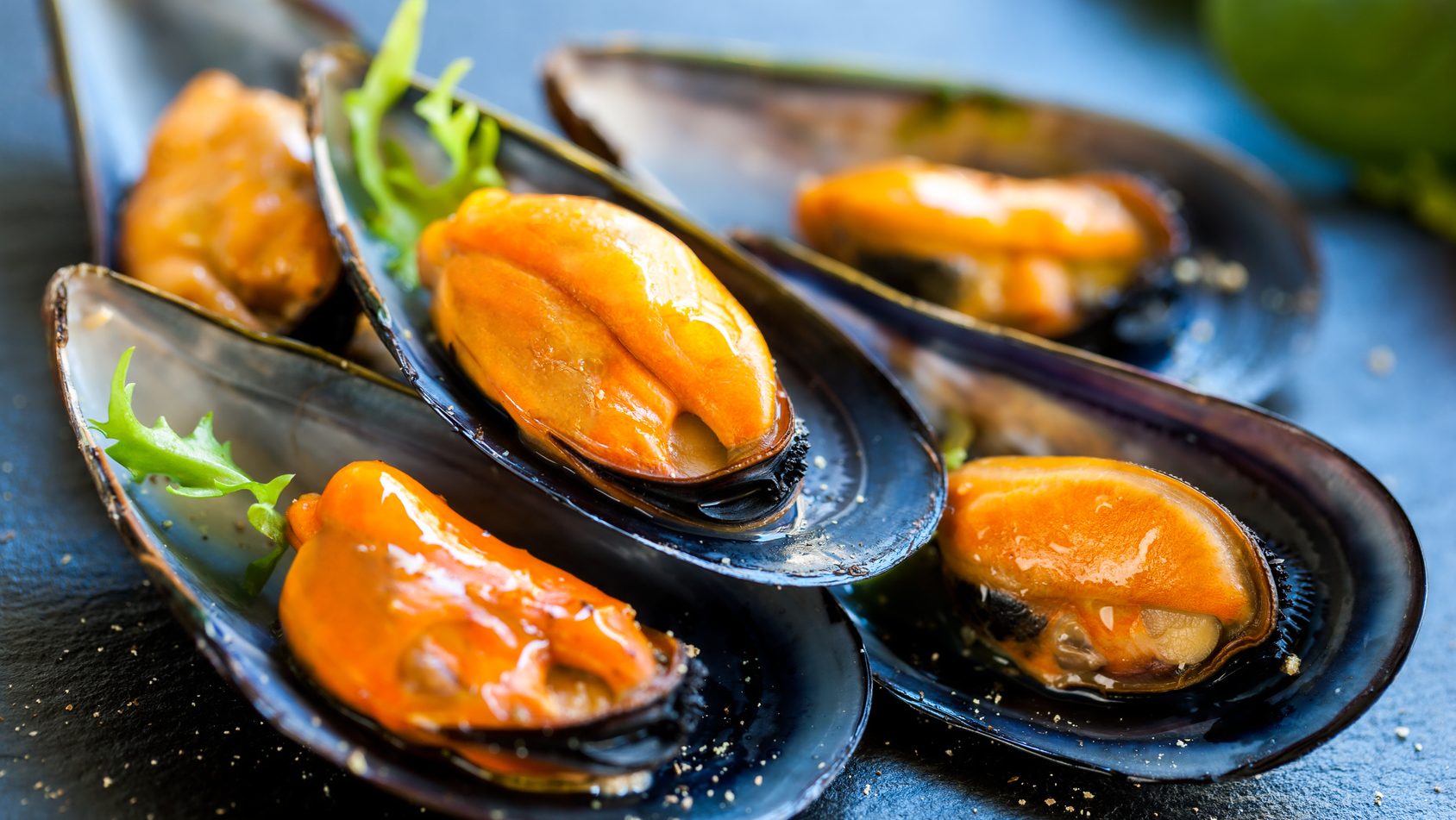 cropped-cozze_cancro-1.jpg