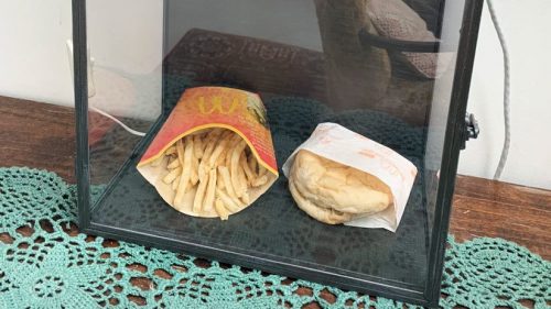Islanda: l’ultimo panino ‘immortale’ acquistato nel 2009 al McDonald’s