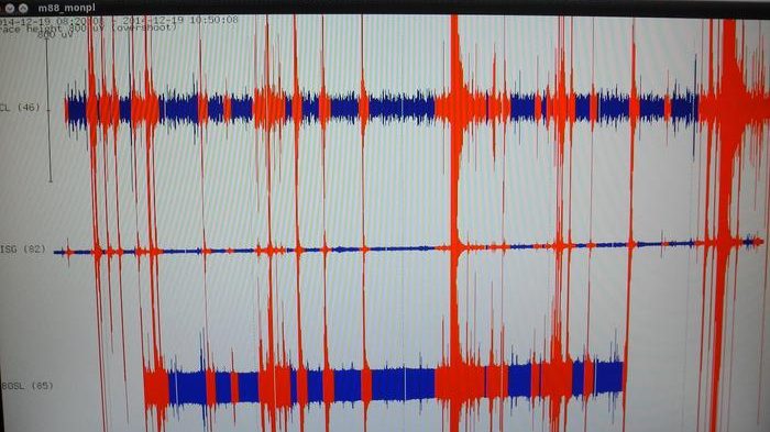 cropped-terremoto-indonesia-1.jpg