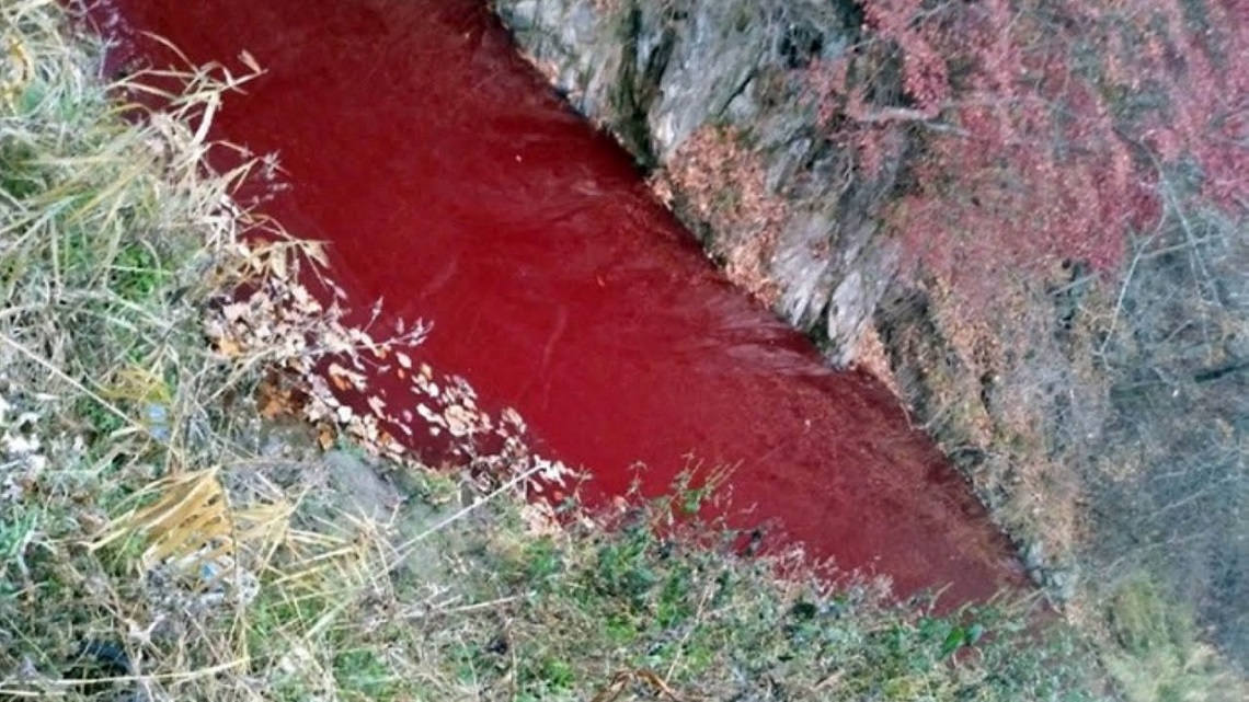 peste-1.jpg