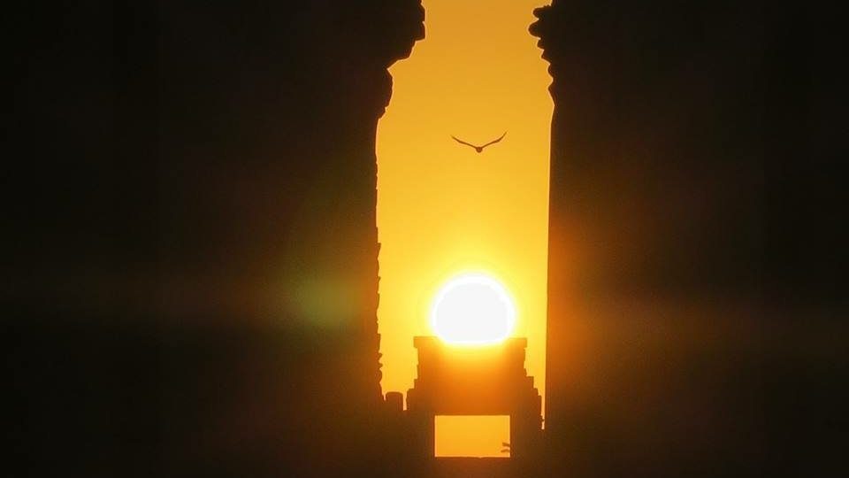 cropped-egitto-1.jpg