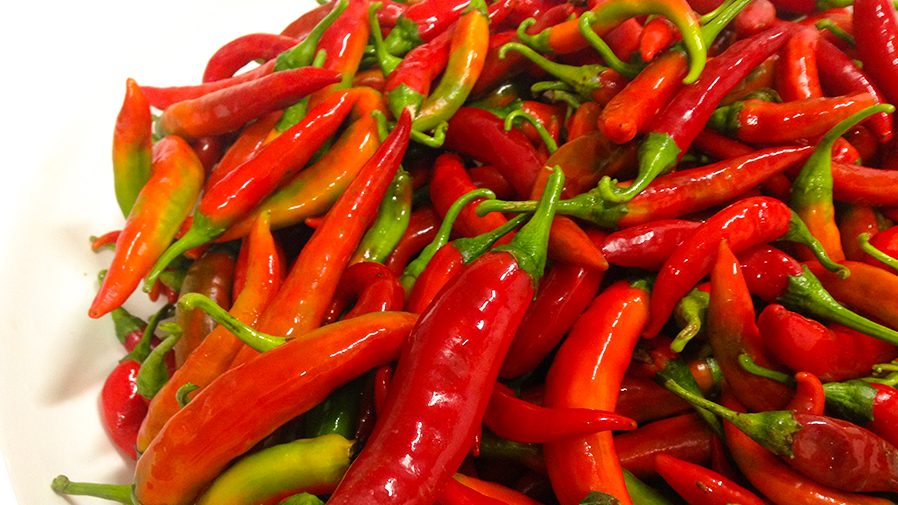 cropped-peperoncinp-1.jpg