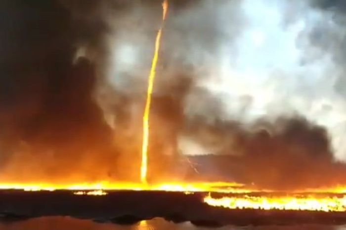 firenado-1-1.jpg