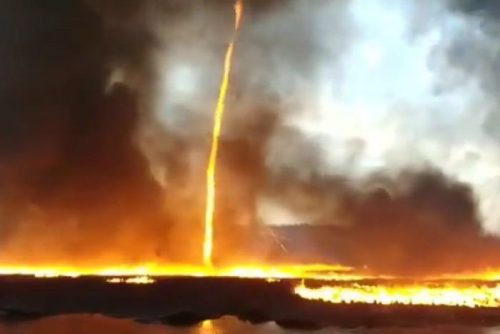 Australia: un tornado di fuoco devasta l’Isola dei Canguri