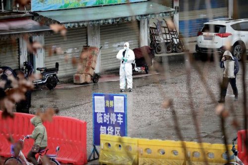 Epidemia Cina: pubblicate le prime immagini del coronavirus