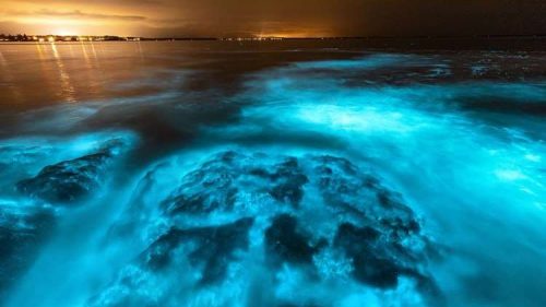 Australia: l’oceano si illumina grazie alle ‘Noctiluca scintillans’
