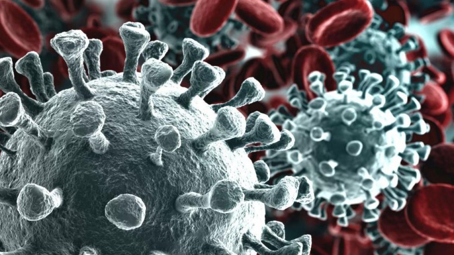 Il mistero del Coronavirus: perché i bambini sono meno contagiati?