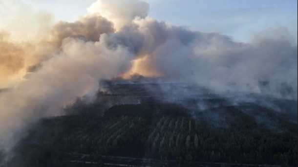 cropped-incendio-1.jpg