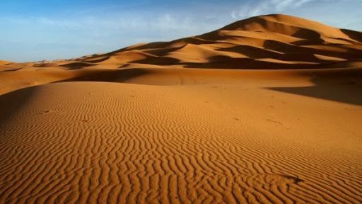 cropped-sahara-1-1.jpg