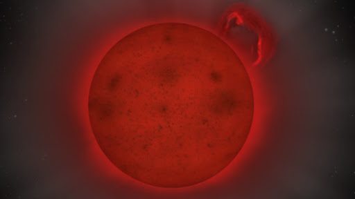 cropped-stella-1.jpg