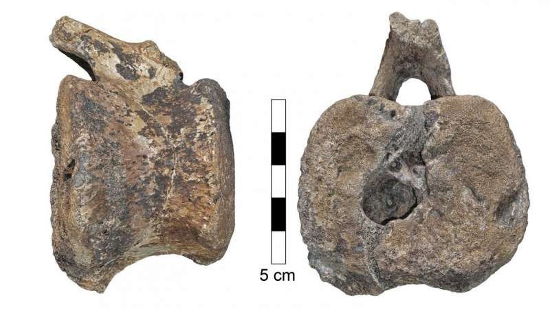 cropped-tumnore-1.jpg