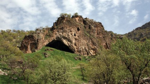 L’Uomo di Neanderthal disboscava le foreste già 125.000 anni fa utilizzando il fuoco