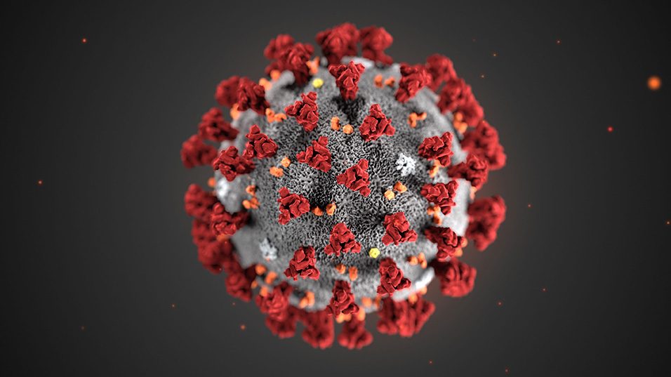 cropped-coronavirus-1-1-1-1.jpg