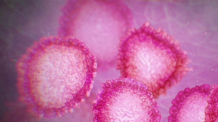 cropped-coronavirus-6-1.jpg