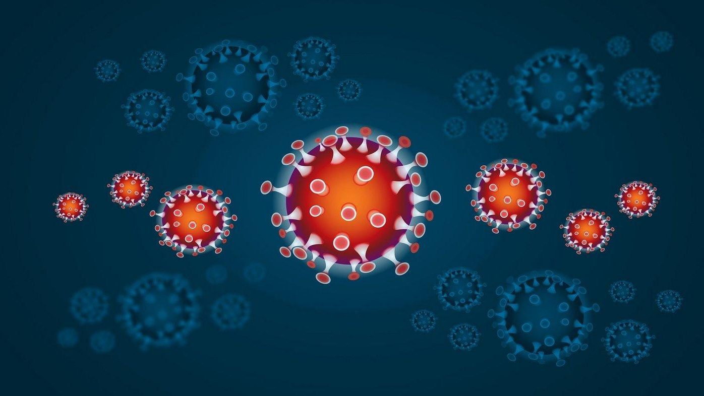 Cosa accade al nostro corpo durante l’infezione da Nuovo Coronavirus?