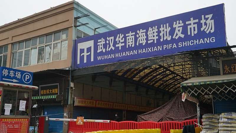 Wuhan: scoperta famiglia ‘nascosta’ nel mercato ittico