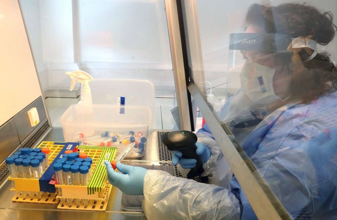 anticorpi-coronavirus-1-1.jpg