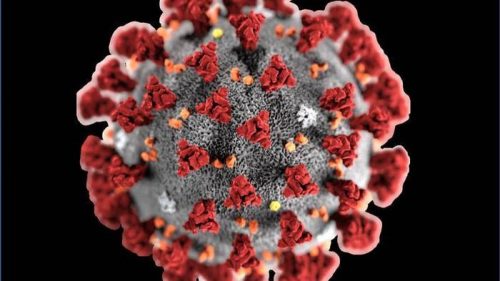 Vaccini contro il COVID-19: 5 preparati garantiscono ‘forte produzioni anticorpi’