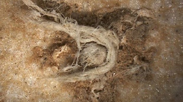Scoperta la corda più antica del mondo: ha 52 mila anni