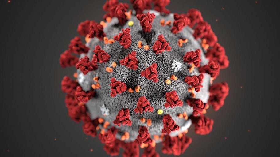 cropped-coronavirus_-1.jpg